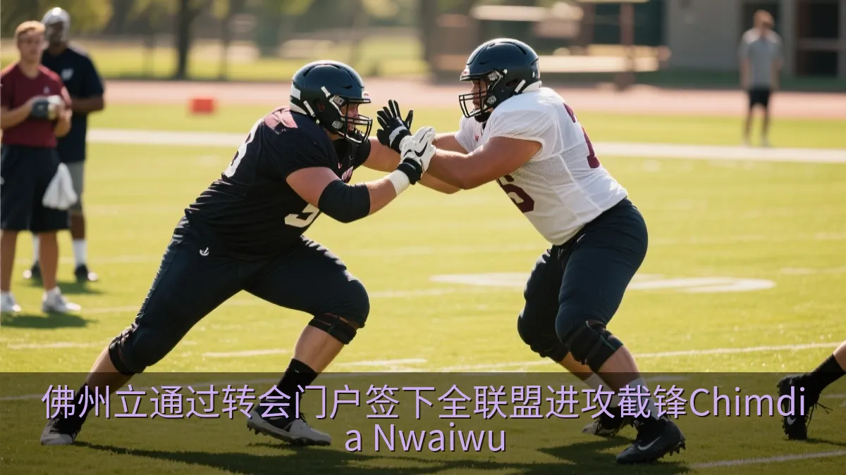 佛州立通过转会门户签下全联盟进攻截锋Chimdia Nwaiwu